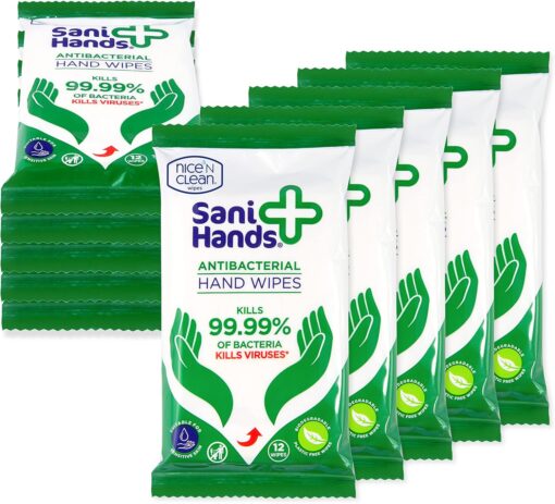 CASE Sani Hands - Antibacterial Hand Wipes - 10x12 Wipes CASE